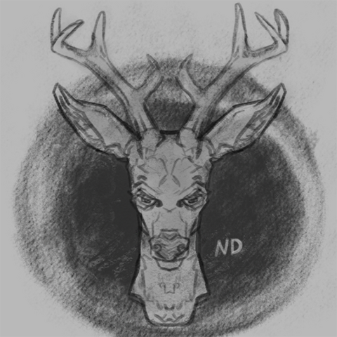 traditional style headshot